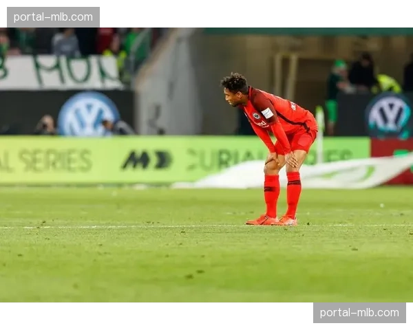 球迷行为规范加强,德甲出台新规应对赛场不当言行 球迷行为规范加强,德甲出台新规应对赛场不当言行